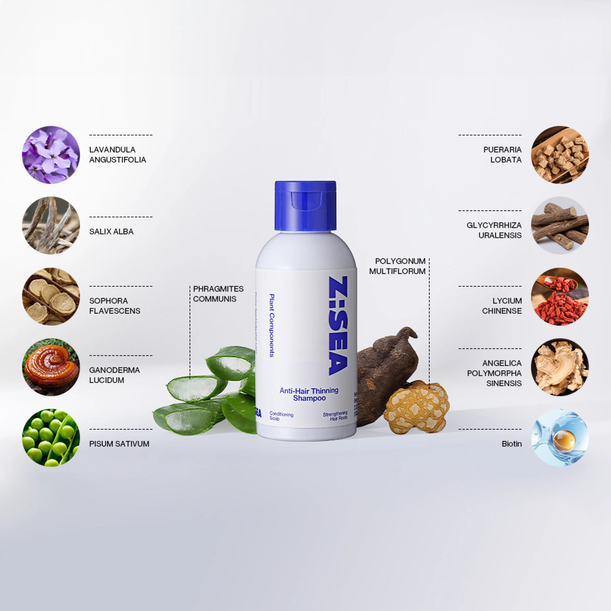 Z:SEA Shampoo to prevent hair loss| zseaskincare